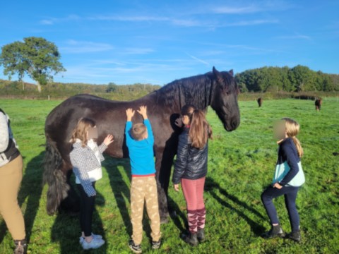 Enfant vu de dos qui caressent un cheval Noir
