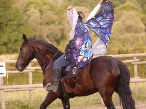 Femme à cheval avec aile de papillon