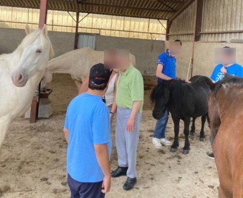Groupe de personne au milieu des chevaux