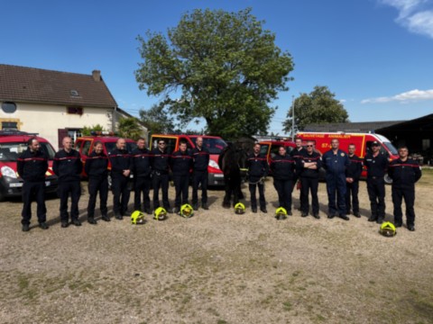Groupe de pompiers avec un cheval