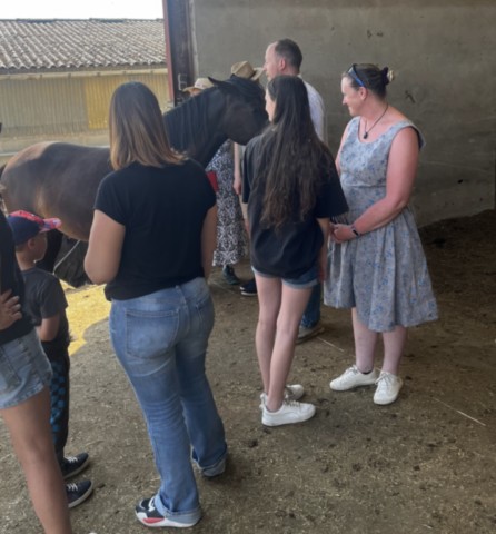 Groupe de gens autour d'un cheval