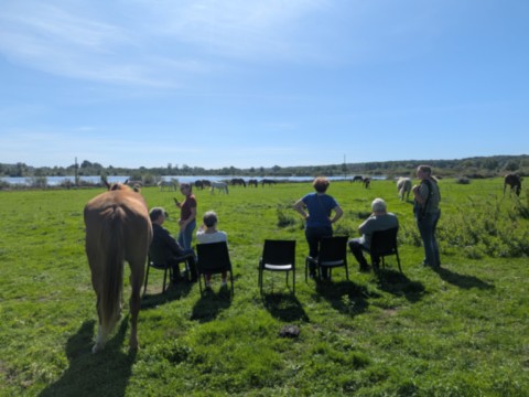 Groupe de personne vu de dos avec chevaux, troupeau en fond et lac