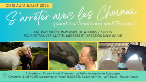 Affiche constellation familiale avec les chevaux